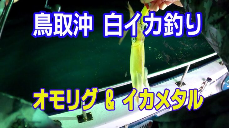 【オモリグ・イカメタル】鳥取港沖の白イカ釣り　2023初釣行は激渋