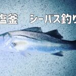 【2023年６月　宮城県釣り】シーバス釣り