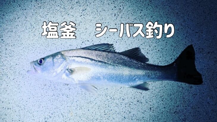 【2023年６月　宮城県釣り】シーバス釣り