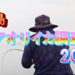 糸島 春アオリイカ調査 ⑪ 2023