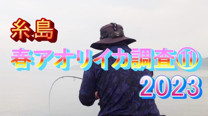 糸島 春アオリイカ調査 ⑪ 2023