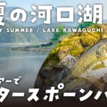 【2023年初夏の河口湖オカッパリ】ポークルアーでアフタースポーンバスを釣る！【河口湖バス釣り】