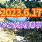 2023.6.17減水後は活性が凄かった！宇治川ブラックバス釣り！