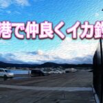 【北海道石狩湾・小樽釣り】小樽港夜釣りで仲良くイカ釣り!!　2023.6.4（ヤリイカ釣り、夜釣り、投光器、シャクリ機、テーラー、エギング）