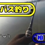 相模川でシーバス釣り【2023年6月】