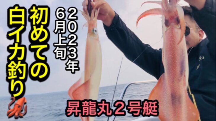 山陰発！鳥取 境港‼️初めての白イカ釣り🦑昇龍丸２号艇にて御来屋沖　2023年6月上旬🦑#イカメタル#オモリグ#ケンサキイカ#誘い方#白イカ#大剣#鳥取