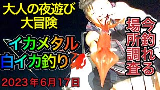 【山陰 鳥取 境港 昇龍丸】イカメタル🦑白イカ＆ケンサキイカ釣り【今釣れる場所調査】大人の夜遊び＆大冒険 #オモリグ#島根#惣津沖 2023年6月17日