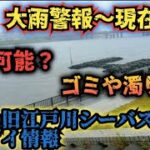 2023年6月3日大雨警報〜状況。旧江戸川シーバス&クロダイ情報。安全性。#シーバス 　#旧江戸川シーバス　#シーバス釣り