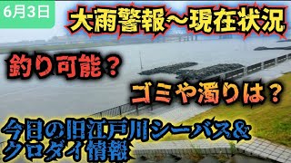 2023年6月3日大雨警報〜状況。旧江戸川シーバス&クロダイ情報。安全性。#シーバス 　#旧江戸川シーバス　#シーバス釣り