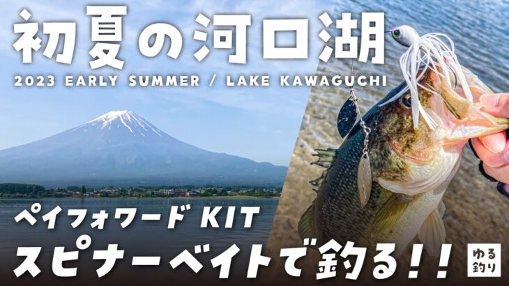 【2023年河口湖】ペイフォワード「KIT」スピナーベイトで楽しむオカッパリ！【河口湖バス釣り】