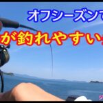 やっと釣れたよー！厳しいシーズンで嬉しい一匹！オフシーズンの青物。ジギングフルモン213