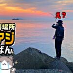 【予想外】ウワサの釣場に初挑戦！サバ沸く海で尺アジばんばんパラダイス！！【23ヴァンキッシュ/アジング】