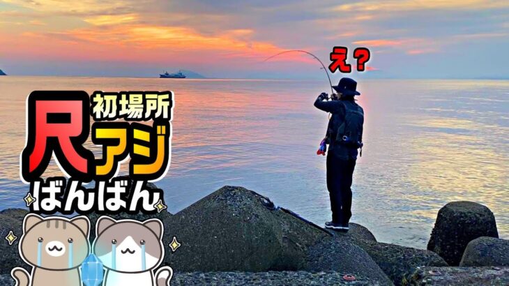 【予想外】ウワサの釣場に初挑戦！サバ沸く海で尺アジばんばんパラダイス！！【23ヴァンキッシュ/アジング】