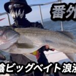 クラッシュフレンジーで釣れるまで#3.5