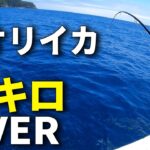 止まらないドラグ、エギング好きの夢。4㎏オーバーのアオリイカの引きが衝撃すぎる。