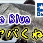 【シーバス修行#4】 Blue Blueのルアーだけ使って釣りしてみたら、遂に念願の魚が・・・？