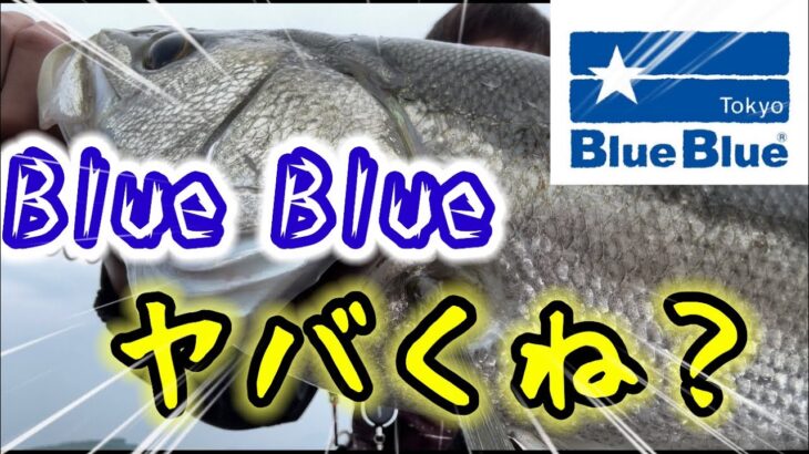 【シーバス修行#4】 Blue Blueのルアーだけ使って釣りしてみたら、遂に念願の魚が・・・？