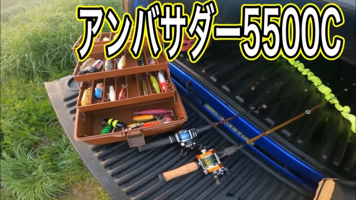 アブガルシアアンバサダー5500Cトップウォーター釣行　【タックル紹介】