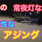 6月の常夜灯なら高活性なアジング 知多半島