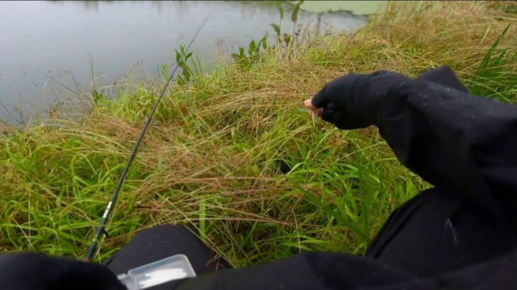 6月のバスを釣りまくってる人は、このルアーを使っています［バス釣り］［野池］［初心者］