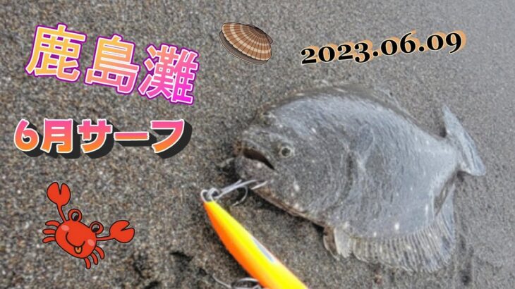 【鹿島灘サーフ】ヒラメを狙いに6月サーフへ🎣