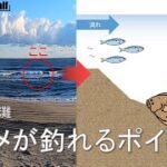 6月鹿島灘　ヒラメが釣れるポイント