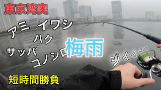 【釣り#60】梅雨の港湾シーバス短時間勝負。