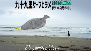 6月22日の釣行！【九十九里サーフヒラメ】