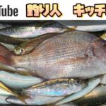 豆アジ、小サバを座って70匹釣った、道具と仕掛けがコレ🎣