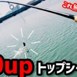 【75cm】バスロッドでシーバスとの激闘の末…