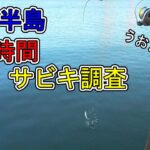 【#85】知多半島でサビキ釣りしたら、奥さんが静かに燃えました（笑）