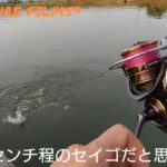 【釣り】DAIWA21カルディアLT3000を買ったのでシーバス釣りたい！