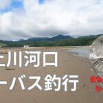 【宮城県シーバス】北上川河口でシーバスGET!!!