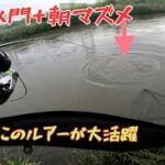 激アツ！雨後水門でシーバスGet！