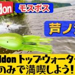 【芦ノ湖】箱根で釣りを満喫しよう！Heddon モスボス ・ スーパースプーク ☆ ヘドンの実力を発揮させよう