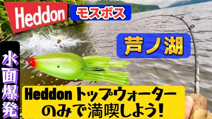 【芦ノ湖】箱根で釣りを満喫しよう！Heddon モスボス ・ スーパースプーク ☆ ヘドンの実力を発揮させよう