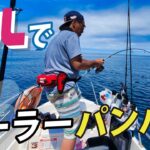 NEO374に乗って釣りをしたら2時間もあればクーラーパンパン！【スーパーライトジギング・タイラバ・ライトジギング】後編