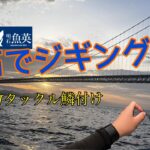 明石でジギング🎣NEWタックル鱗付け