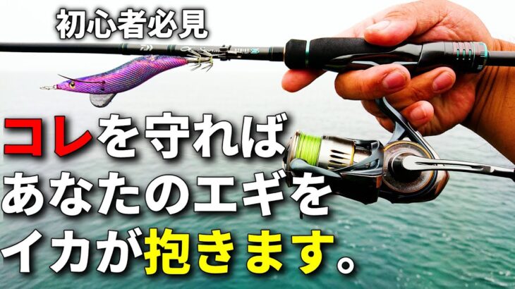 【初心者必見】釣れるはずのイカを逃すNG行為！春エギングで気を付けるべきポイントを解説します。