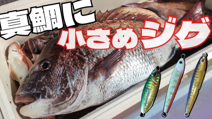 遊漁船で学ぶ乗っ込み真鯛ライトジギング！魚種豊富な初夏の仙台湾！【釣行No.045】