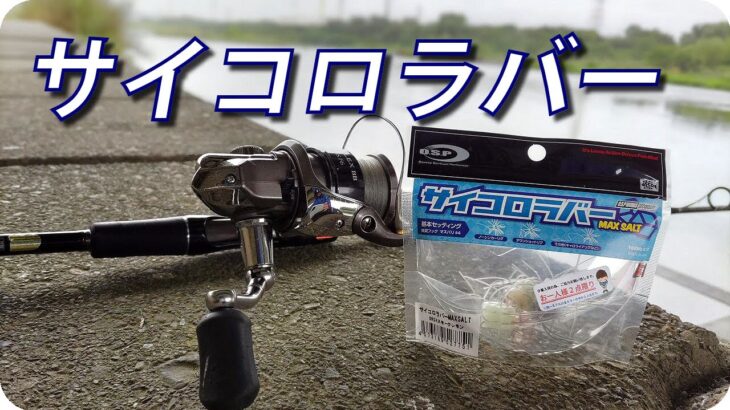 【多摩川 バス釣り】OSP サイコロラバー実釣　スピニングタックル（シマノ ゾディアスML・コンプレックス2500S）フロロ5lb【ヒジリ釣行記 】