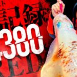 【エギング】REDも新記録！モンスター4380g捕獲!!