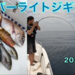 SLJ 後輩が初めてブリを釣る