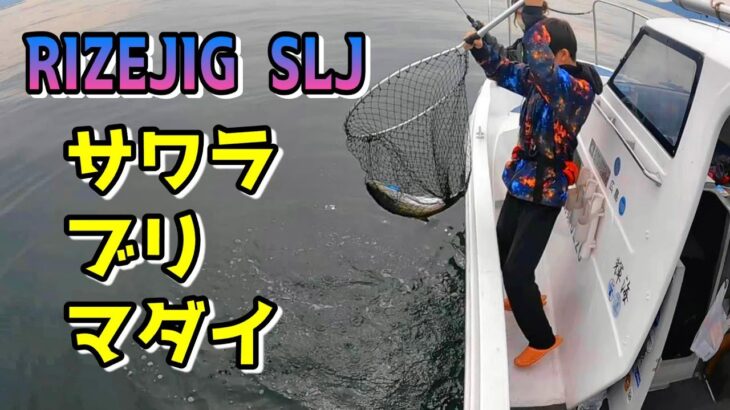 【SLJ】6月の宮島裏❗ライズジグ縛りで狙うサワラ・ハマチ・マダイ‼️広島スーパーライトジギング❗Let’s go fishing in Hiroshima Miyajima🎣🇯🇵