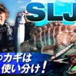 【SLJ/スーパーライトジギング】使い分けで釣果に差が出る！バンブルズTG SLJ・バンブルズバイトビーンズTG【外房/吉岡進・石川文菜】 #釣り #slj