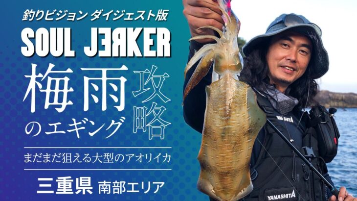 SOUL JERKER 14 三重県南部エリア ～梅雨シーズン突入！まだまだ狙える大型のアオリイカ～