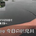 シーバス釣りVlog 今日の鶴見川 2023年6月10日（他魚種1）アイザ―125Fの試投。2投目でヒットしたのは、、