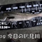 シーバス釣りVlog 今日の鶴見川 2023年6月12日（1キャッチ）ダヴィンチ190で77cm