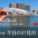 シーバス釣りVlog 今日の鶴見川 2023年6月17日（ホゲ）ブローウィン140Sで30分間ジャーキングチャレンジ