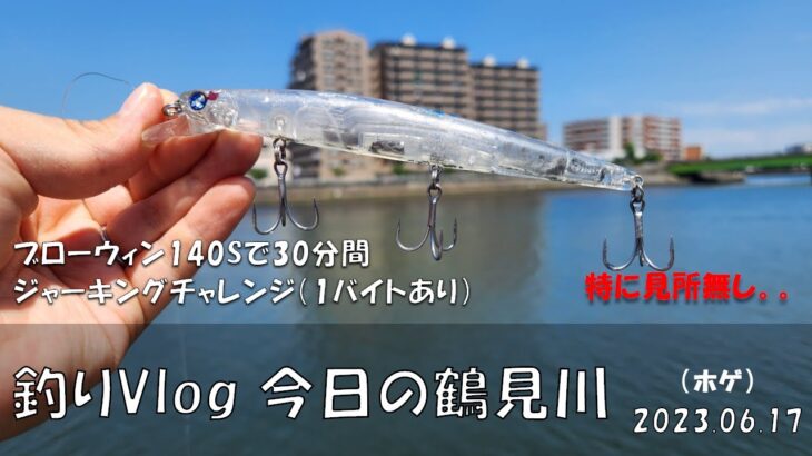 シーバス釣りVlog 今日の鶴見川 2023年6月17日（ホゲ）ブローウィン140Sで30分間ジャーキングチャレンジ